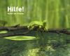 3DFrog02