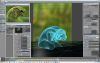 3DFrosch_Big_Blatt