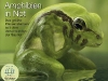 natur_kosmos_titel