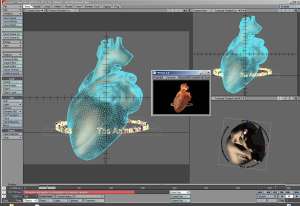 unterschiedliche Perspektiven für eine holografische Animation